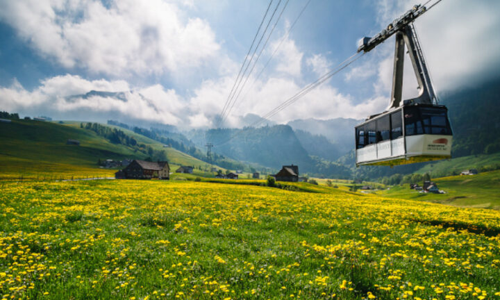 Seilbahn Hoher Kasten fährt über eine Blumenwiese