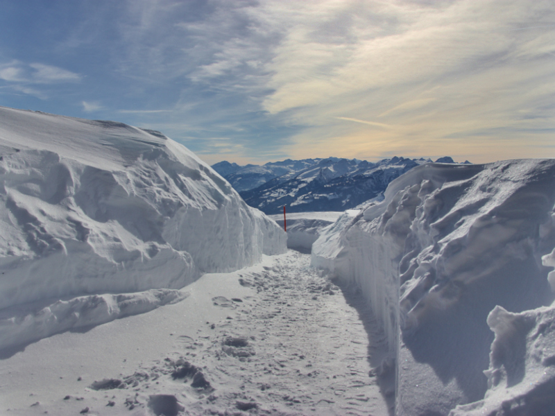 Freigeschaufelter Europa-Rundweg auf dem Hohen Kasten im Winter