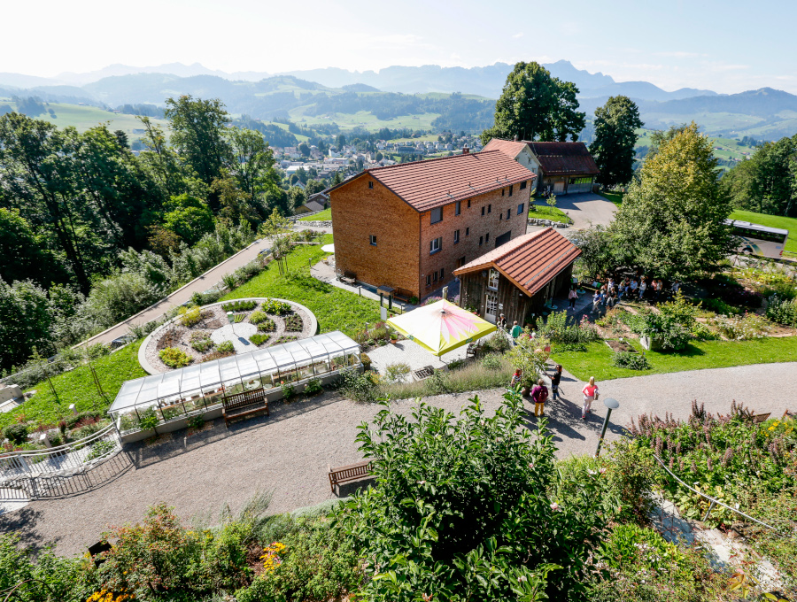 Schaugarten A. Vogel von oben